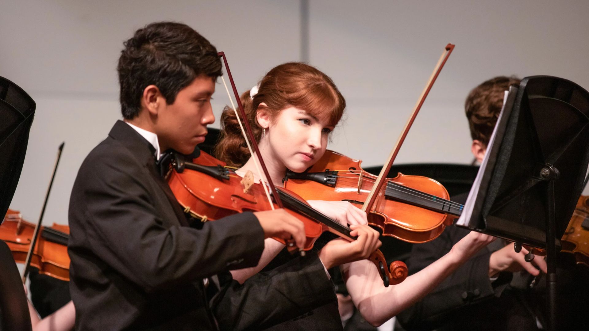 Violin 2